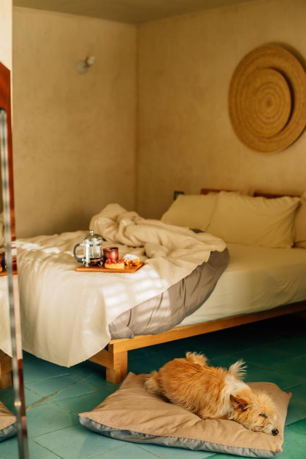Hotel Boulenc Bed And Bread Oaxaca Exterior foto