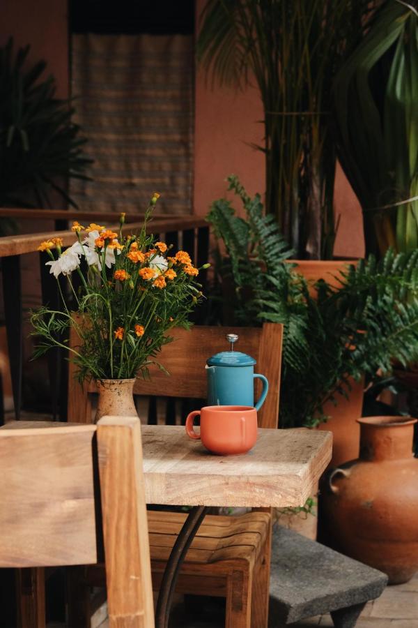 Hotel Boulenc Bed And Bread Oaxaca Exterior foto